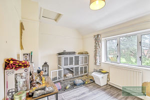 Photo 12- click for photo gallery